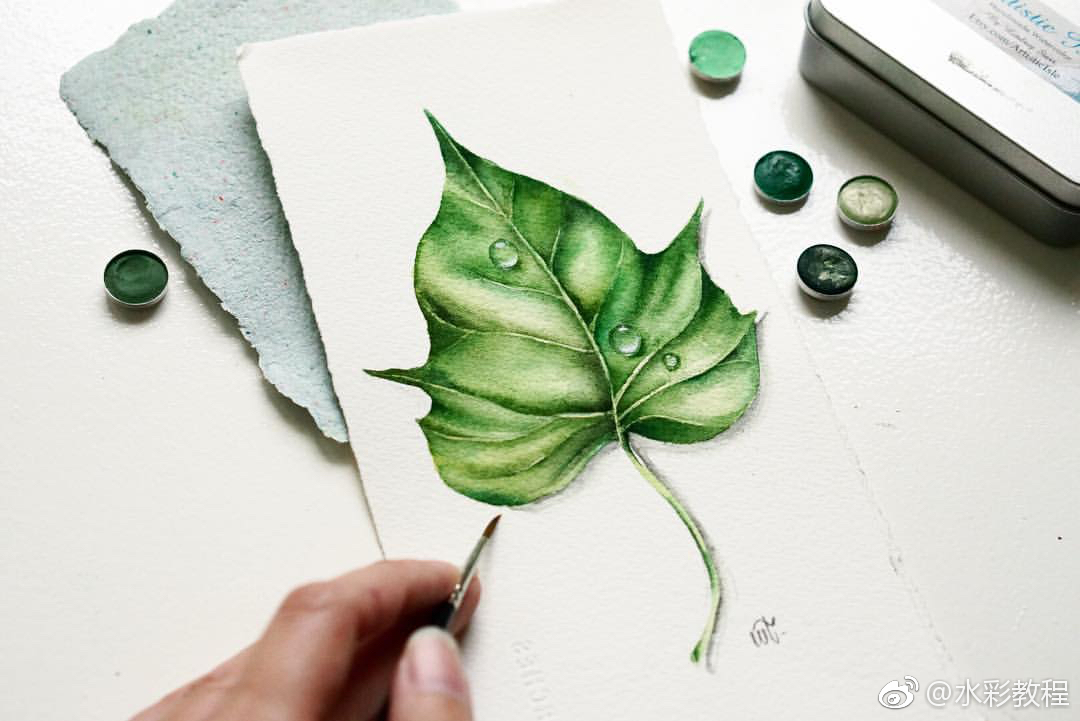 水彩植物花卉作品 by ins: wei.tieng