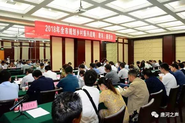 2018年全市规划乡村振兴战略座谈会在唐河县