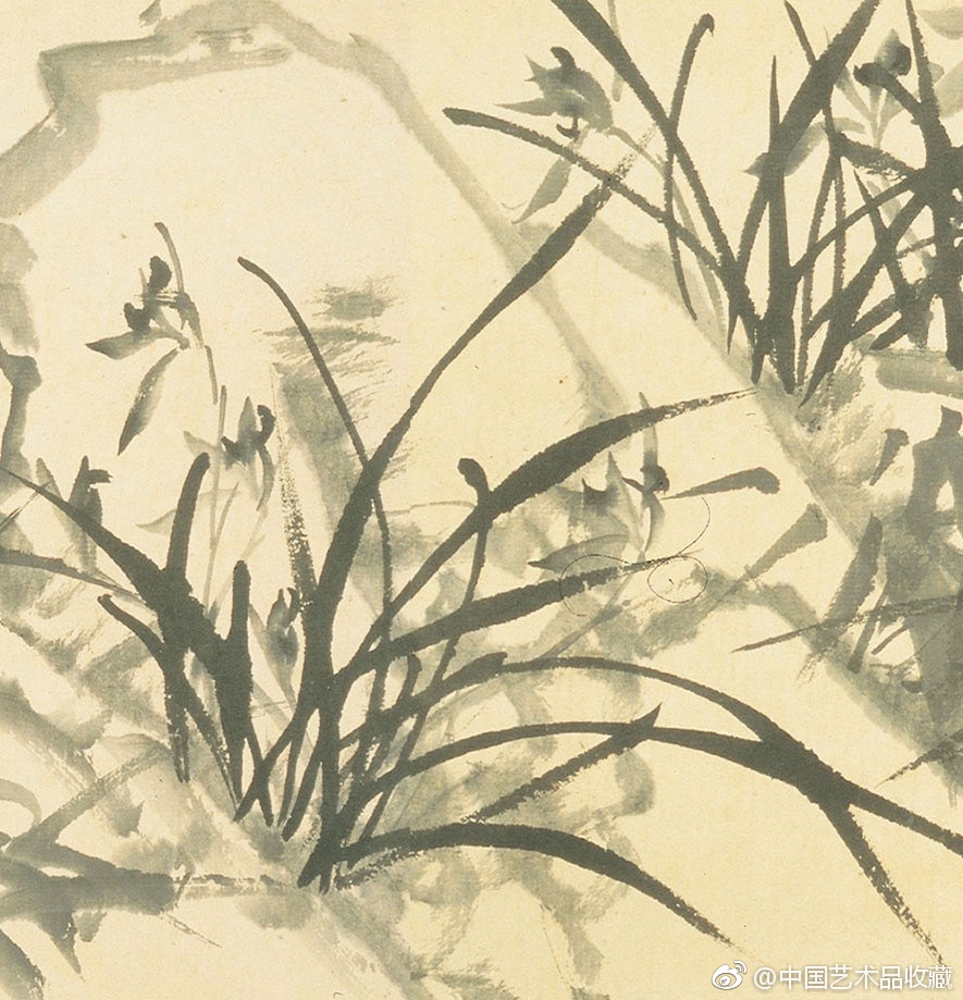 清 郑燮 《兰花竹石图》|郑燮|兰竹|墨笔_新浪新闻