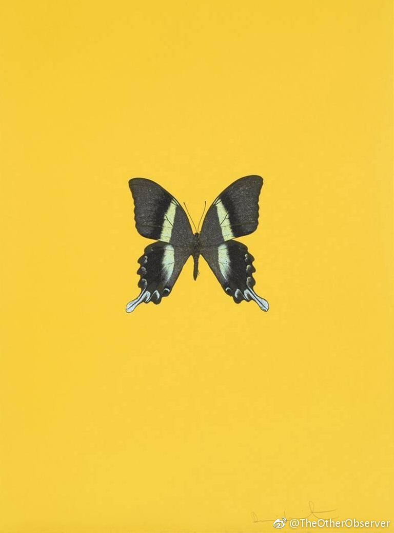 向死而生在雪中等待春天damien hirst 万花筒蝴蝶系列蝴蝶在