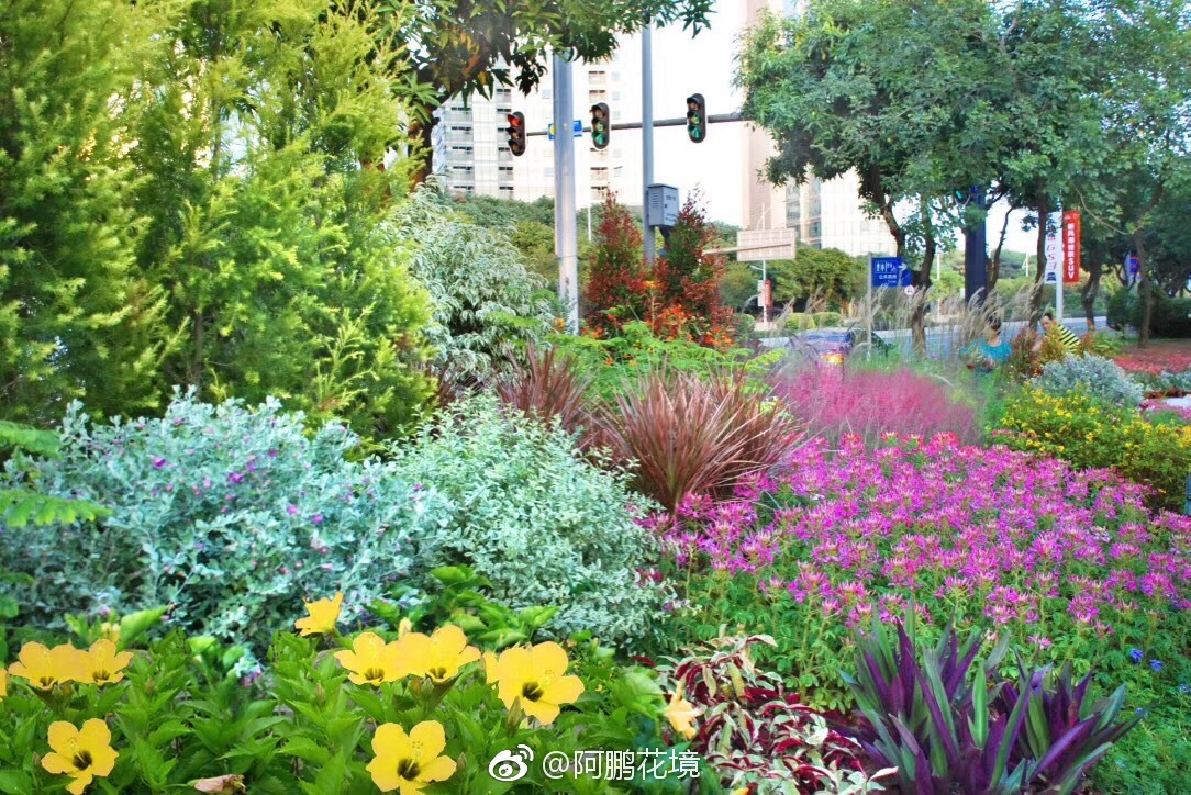 广州的花境