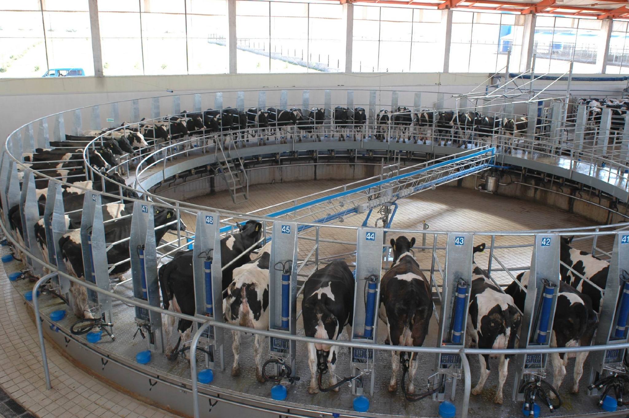 让消费者零距离见证蒙牛航天品质牛奶的诞生过程,亲