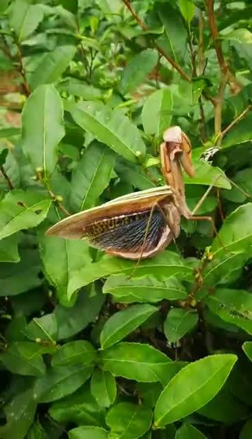 新年新套路 心中有曲自然嗨! 新爆血深秋