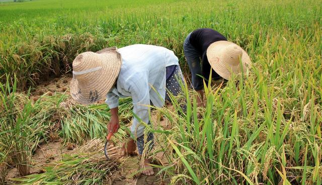 攒点钱来养活自己,不依靠子女;在农村,六十岁以上的老人还在田地里弯