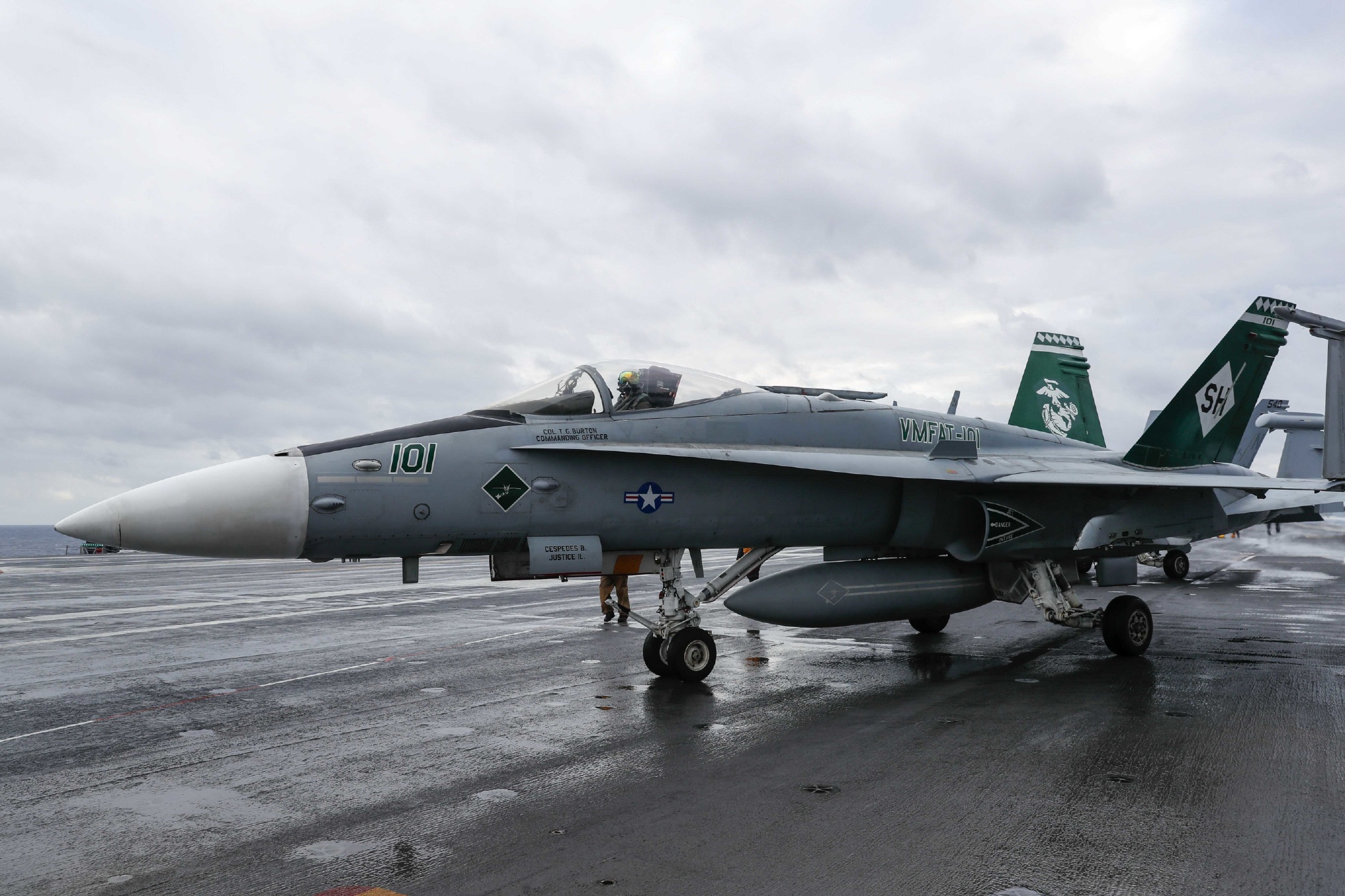 芬兰飞行员完成首次航母着舰|芬兰|空军|大黄蜂_新浪新闻