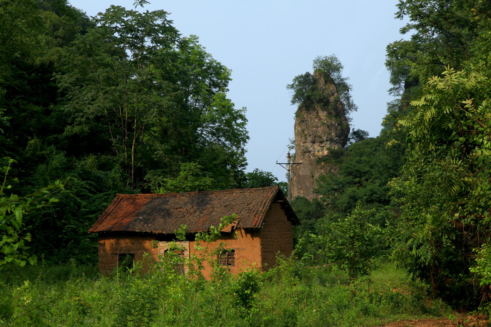 景区内林茂草丰,雉飞鹿鸣,四季泉水喷涌,常年飞瀑成群,翠竹碧水交织