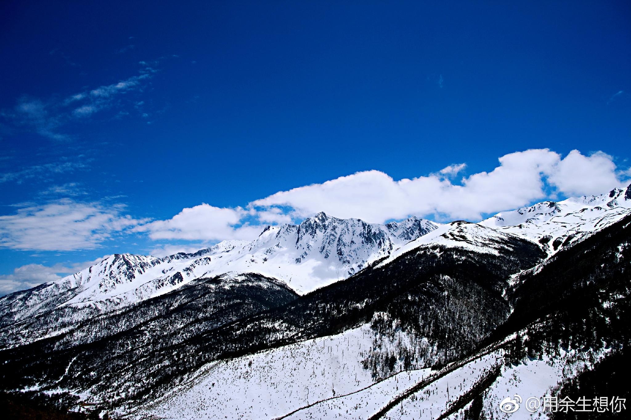 云南白马雪山白马雪山国家级自然保护区位于云南省西北部迪庆藏族自