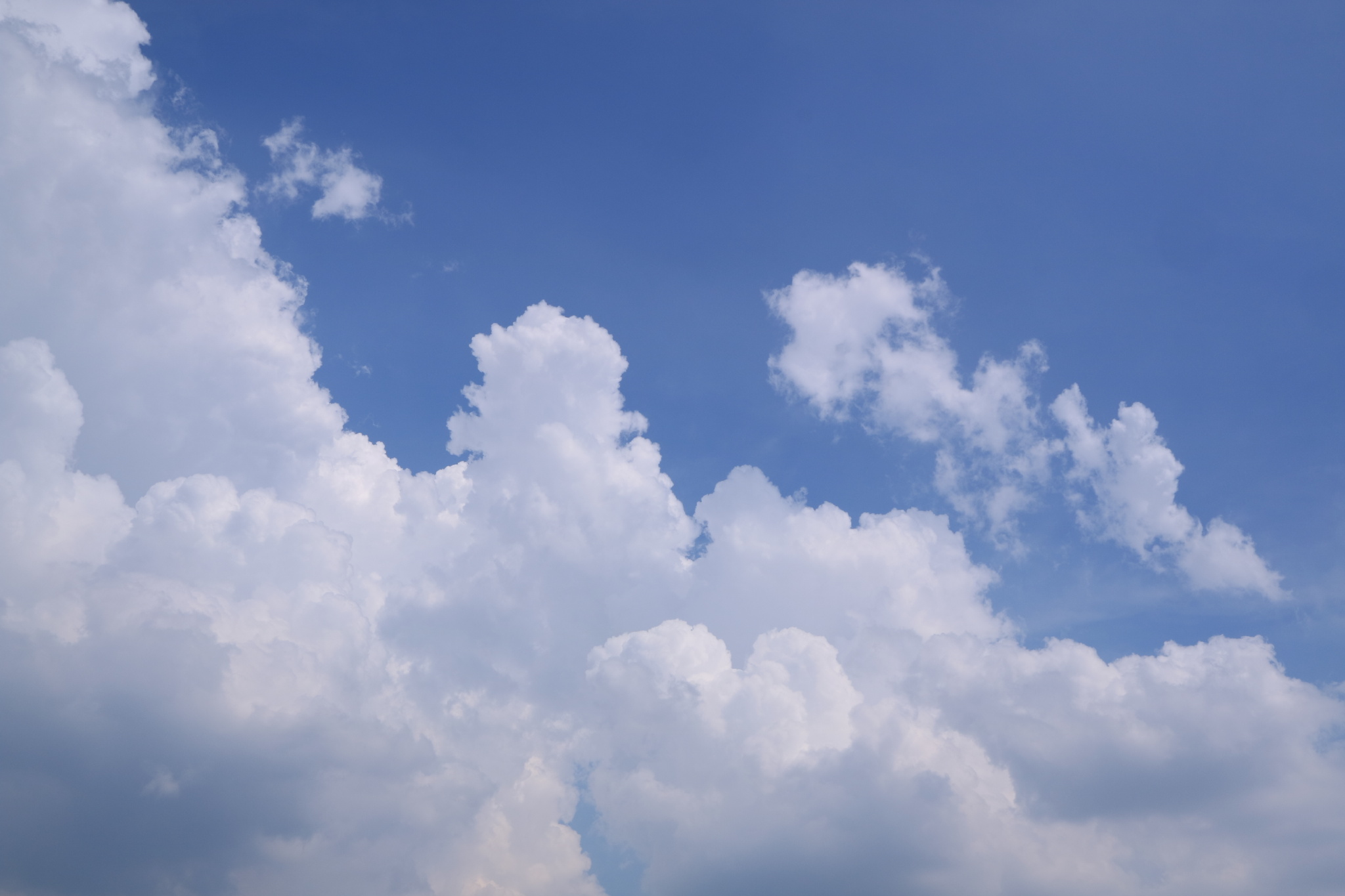 夏天的云_新浪新闻