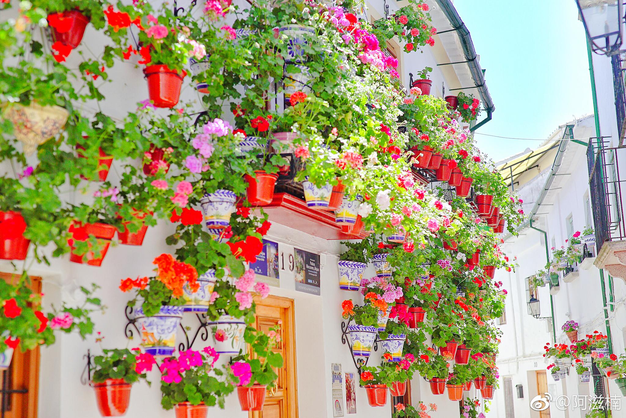 科尔多瓦的庭院节来临之时,整个城市都是一个鲜花博物馆