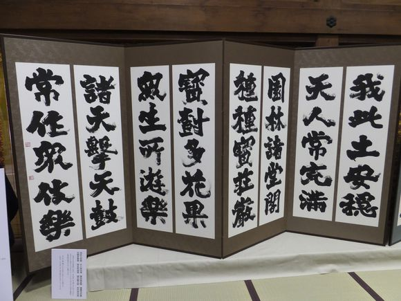 智障女练书法19年成名家!个人书法展轰动日本,还出了10部书!