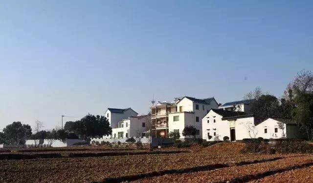 坛的说法,新旭村是洋湖老酒坛的主要产地之一,昔日村里有二个坛窑厂