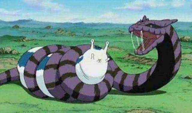 佐助的这条大蛇名叫"青蛇",是一条身体庞大,全身青灰色的大蛇.