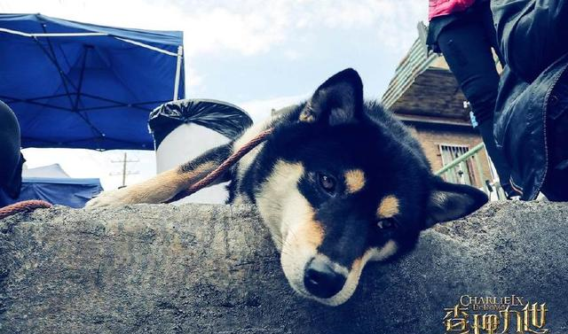 盘点2018年下半年18部国产好电影,超级期待!