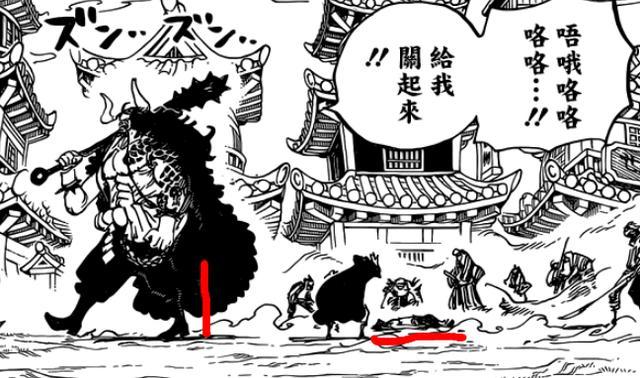 海贼王看看凯多的真实身高