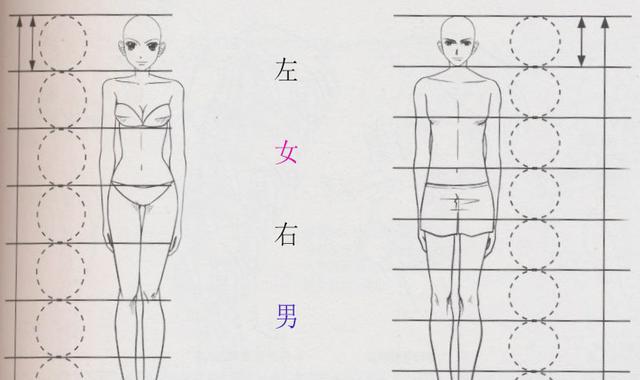 写实漫画头身比例一般为6.5头身.美版的有7.5以上.