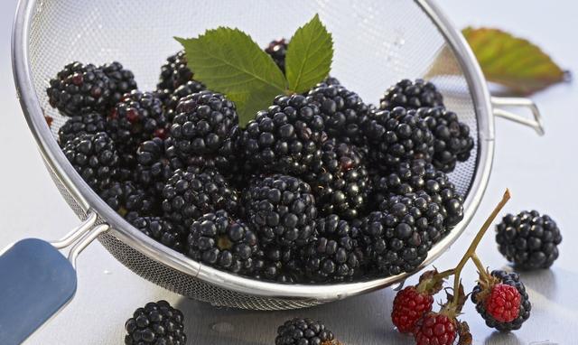 俗话说黑色食物好处多,这9种食物是一黑到底!