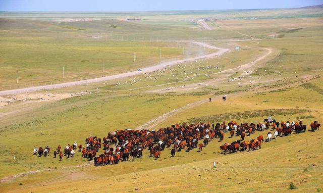 这个地方出产的马, 拿北京一套房子都不换|山丹军马场|霍去病|山丹