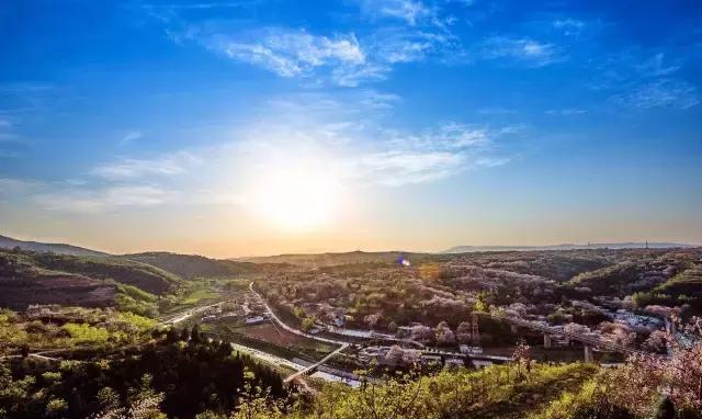 航拍新密大片大片的桐树花,美不美你说了算|新密|大片|丽日_新浪网