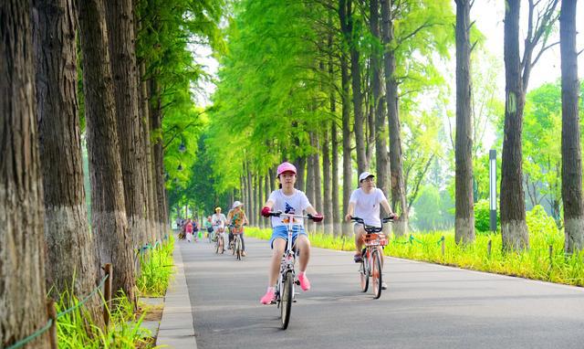 武汉东湖绿道骑行图片