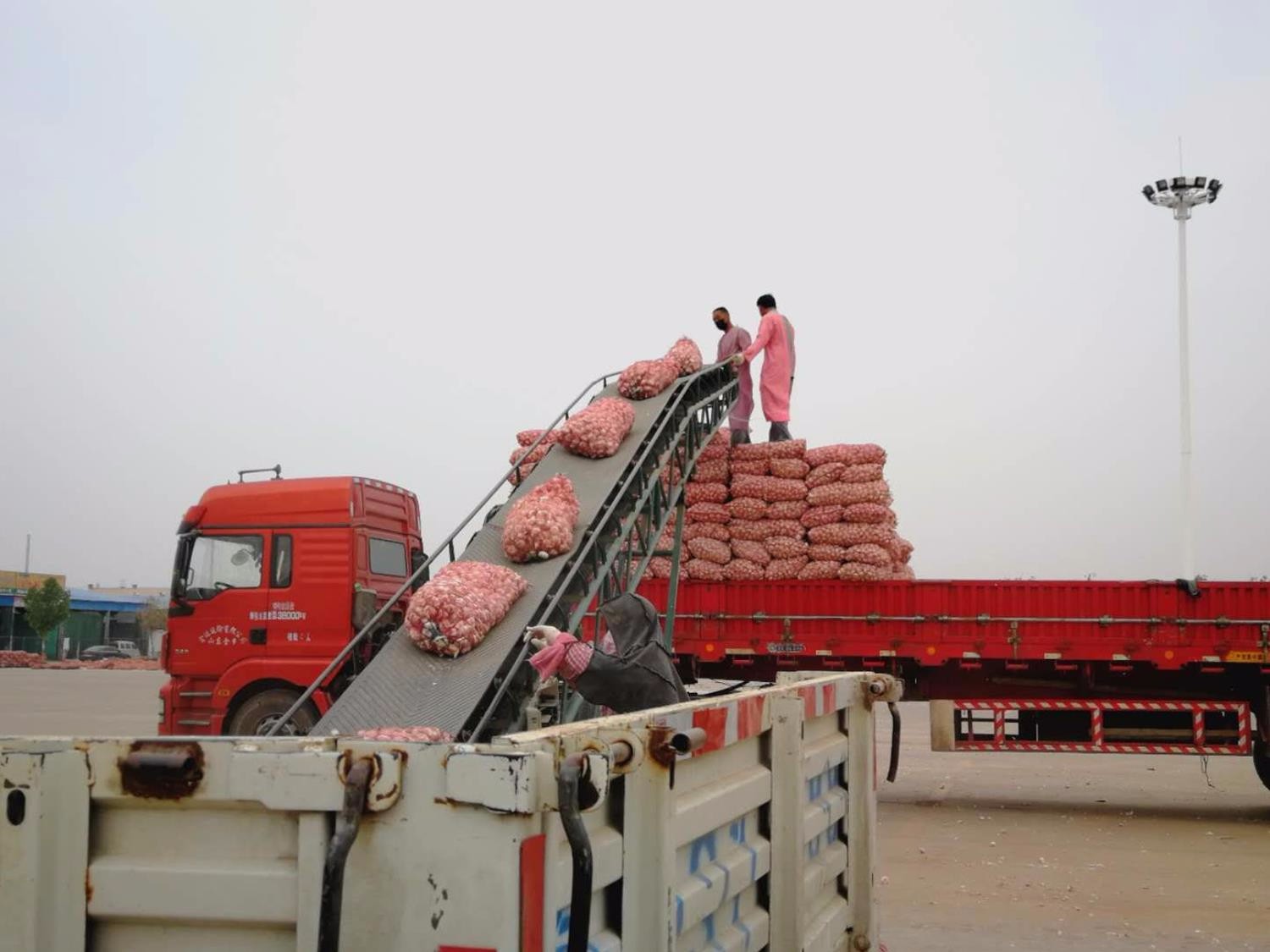 高温酷暑下的大蒜装车工,一天到晚汗水没停过,一斤挣一分钱