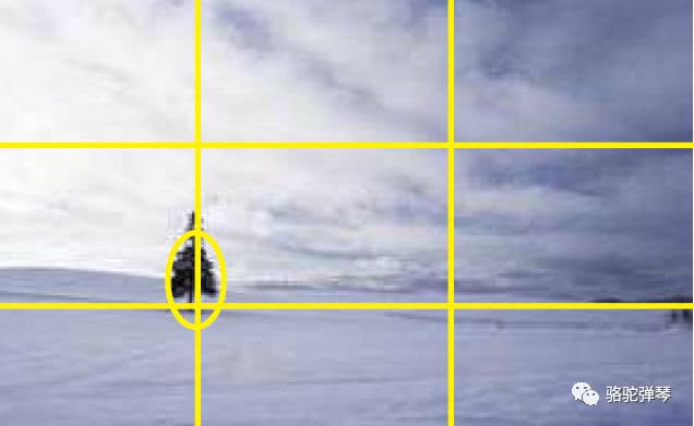 摄影大咖详解黄金分割,九宫格,三分法构图!