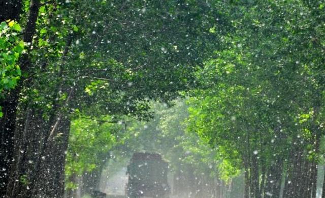 诗词鉴赏春风不解禁杨花蒙蒙乱扑行人面