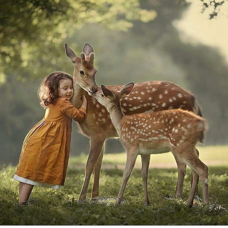 小朋友和动物太可爱了