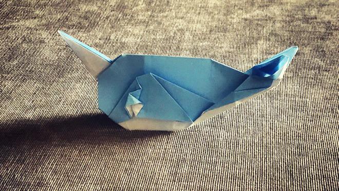 动物系列折纸一只独角鲸折纸