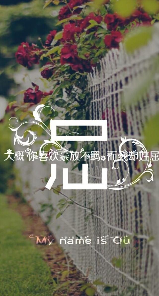 个性唯美的姓氏壁纸设计美美哒值得收藏哦