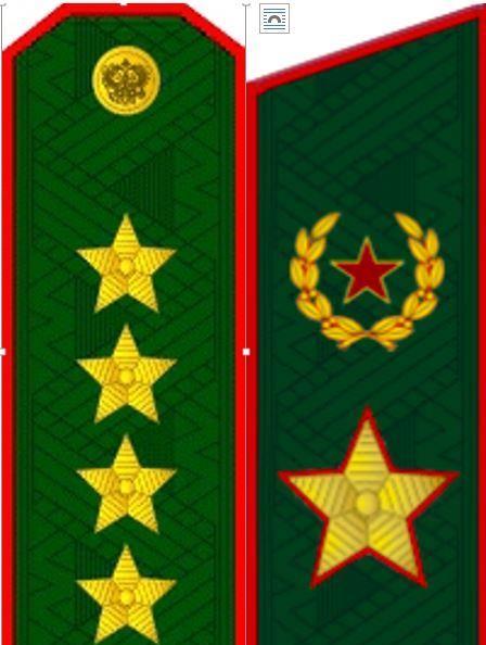 俄军肩扛的星星该咋数?俄军军衔干货奉上!