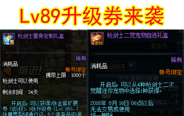 DNF 枪剑士二觉Q版礼包: Lv89升级券、二觉宠