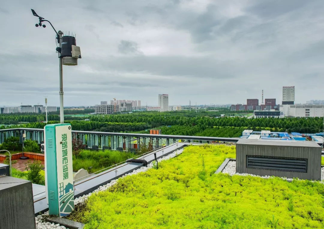 建一座海绵城市是一种什么体验?——是脚踏实地,也是诗和远方