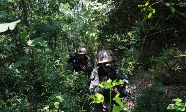 战场情况变化多端,场地也很多变,有的时候在树林中也会发生枪战,一旦