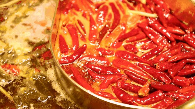 进了黄磊的火锅店,刚吃一口发现事情不简单,最后一个举动很懵