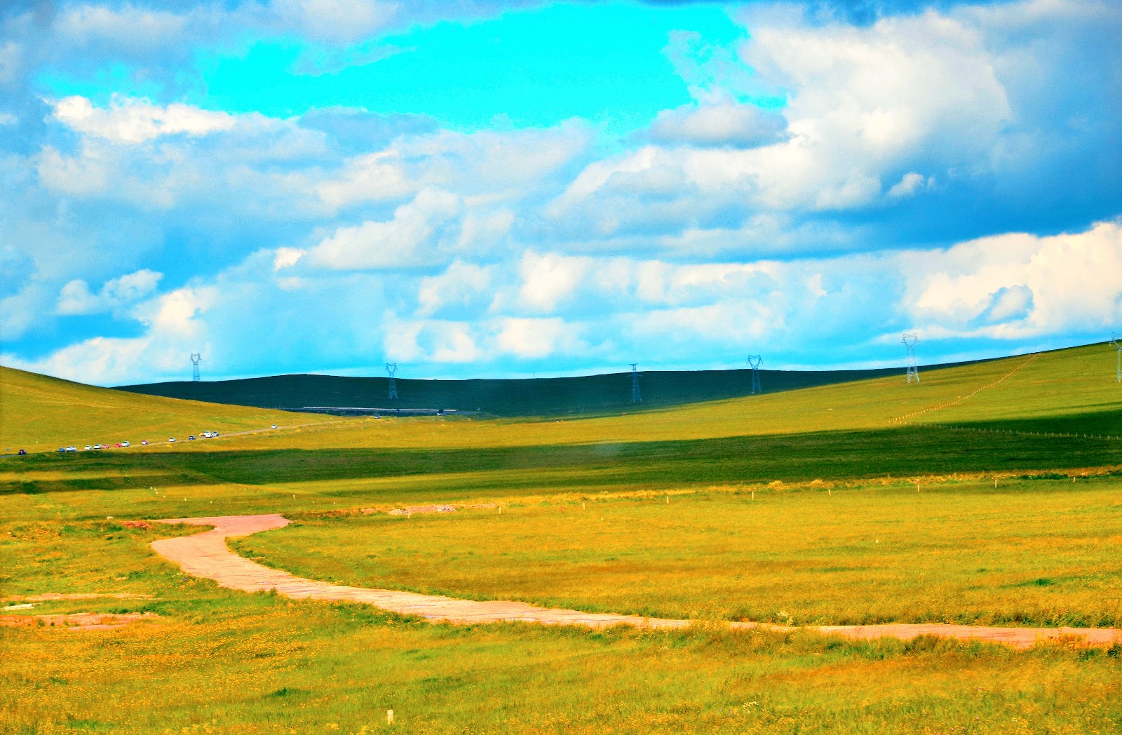 那些美好的,都是它们,草原,路,牛羊,拍于去往乌拉盖的路上|乌拉盖|草