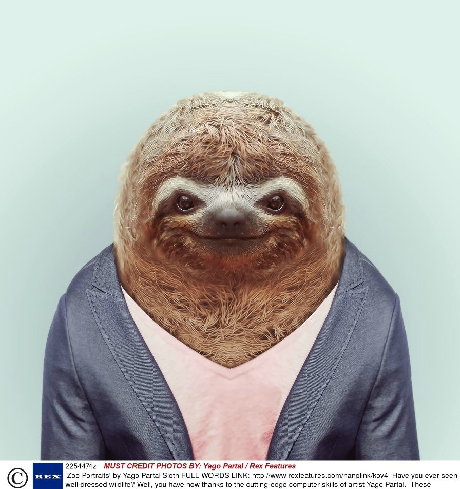 外国摄影师给动物们穿上衣服,这些模特将引领新的潮流