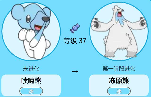 而第二只要介绍的熊类神奇宝贝,也就是图上圈圈熊(初阶是熊宝宝),这个