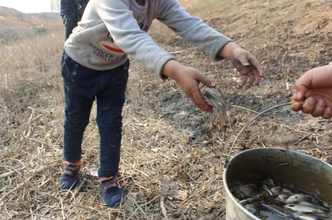 全家总动员乡间捉鱼,给孩子一个不一样的童年!