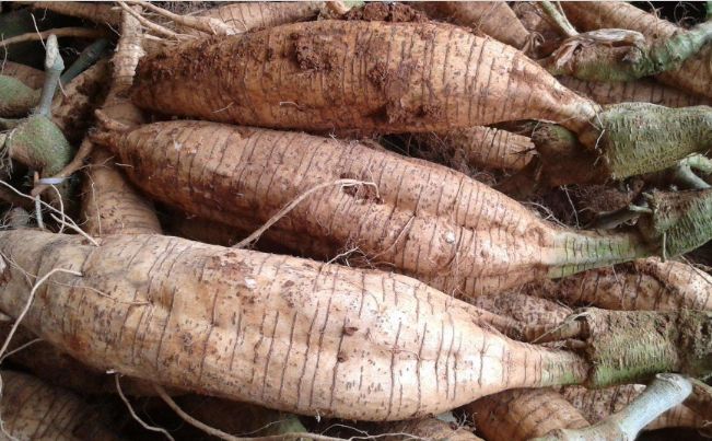 用身边的天然解毒王,给全身来个大清洗