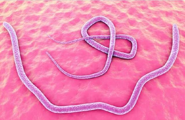 4万年前冰封的线虫被成功复苏,科学家:气候变暖将唤醒更多生物