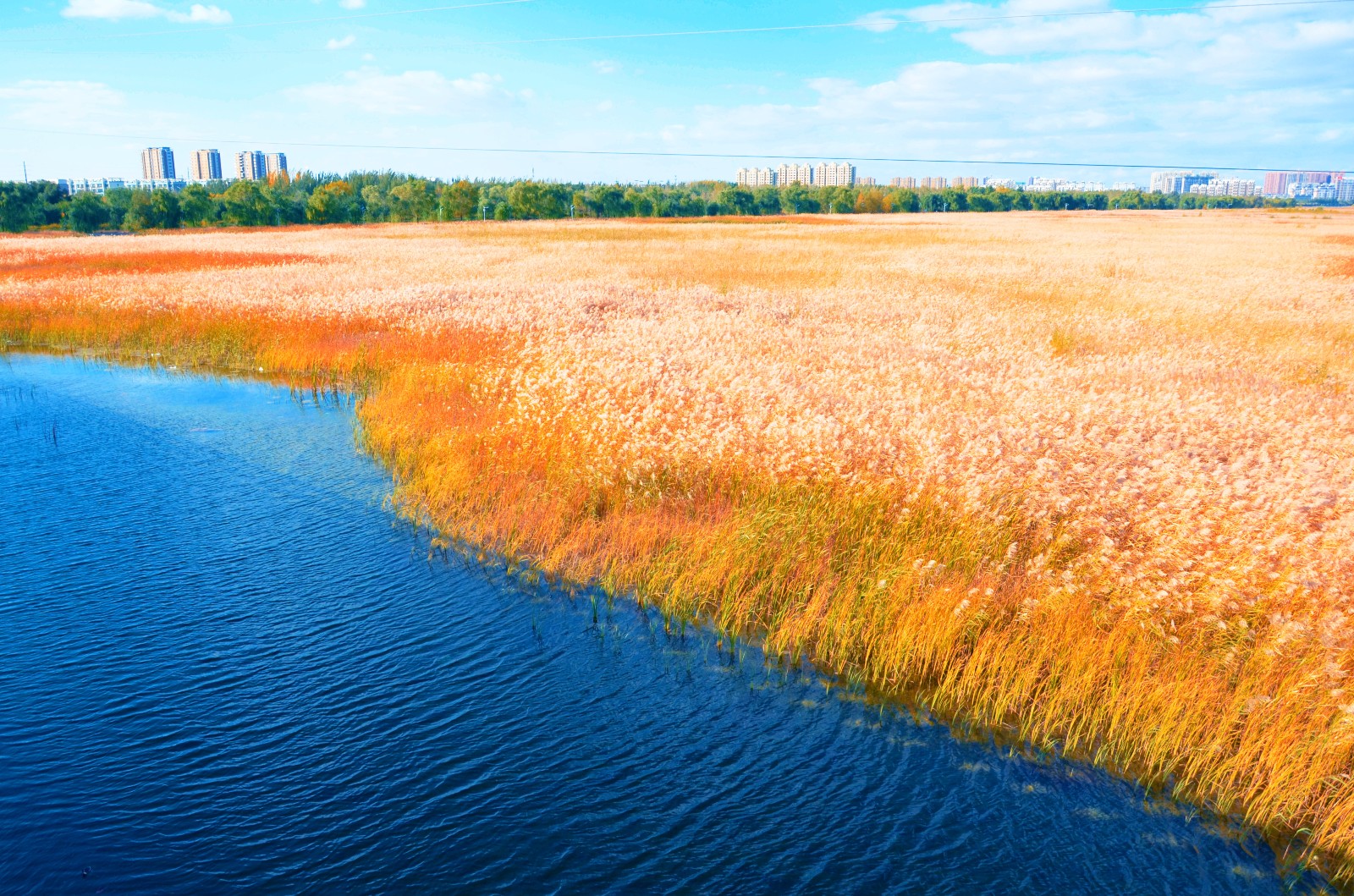 拍不尽的美景拍不完的心情辽河公园西辽河大桥段