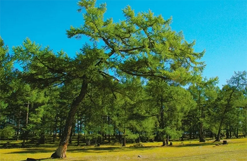 未来3年财运疯涨,豪车豪宅全都有,横财天降,财运不断的3生肖
