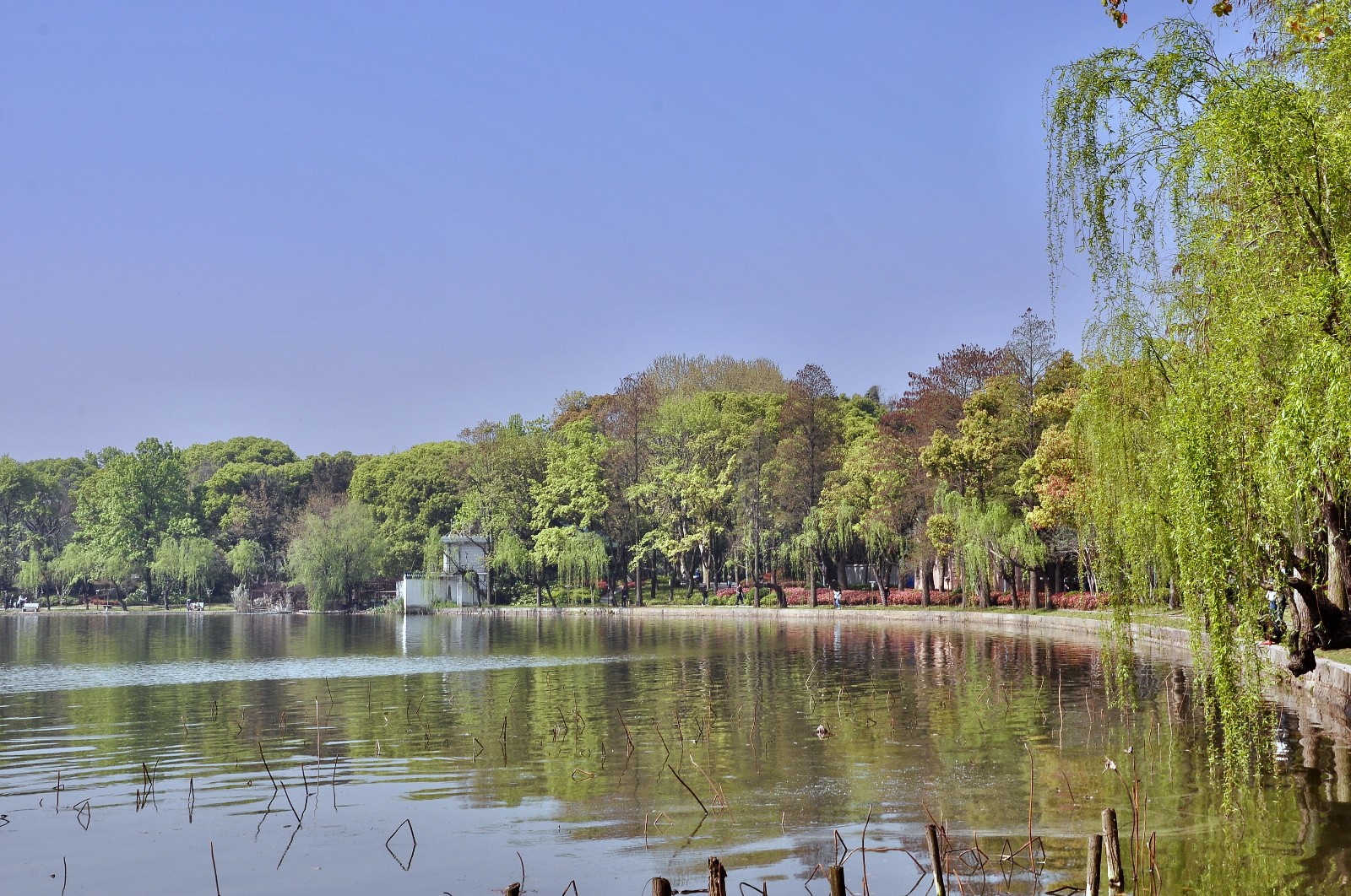 东湖梨园(武汉 东湖风景区)