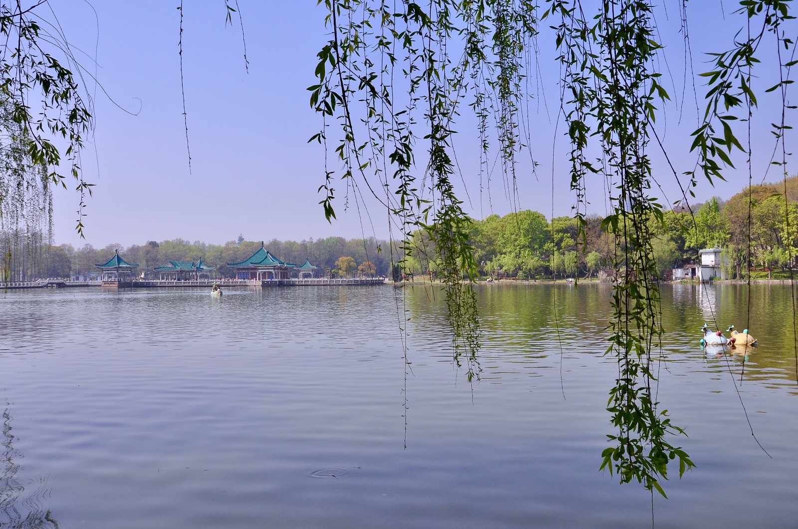 东湖梨园(武汉 东湖风景区)|东湖梨园|东湖风景区|武汉_新浪新闻