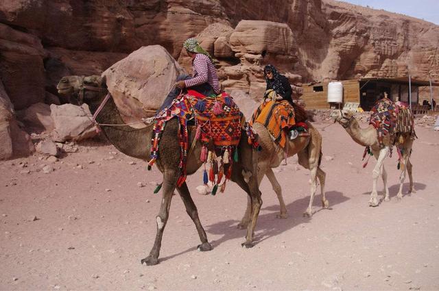 和北非广阔的沙漠和荒原地上,生活着近千万过着游牧生活的贝都因人