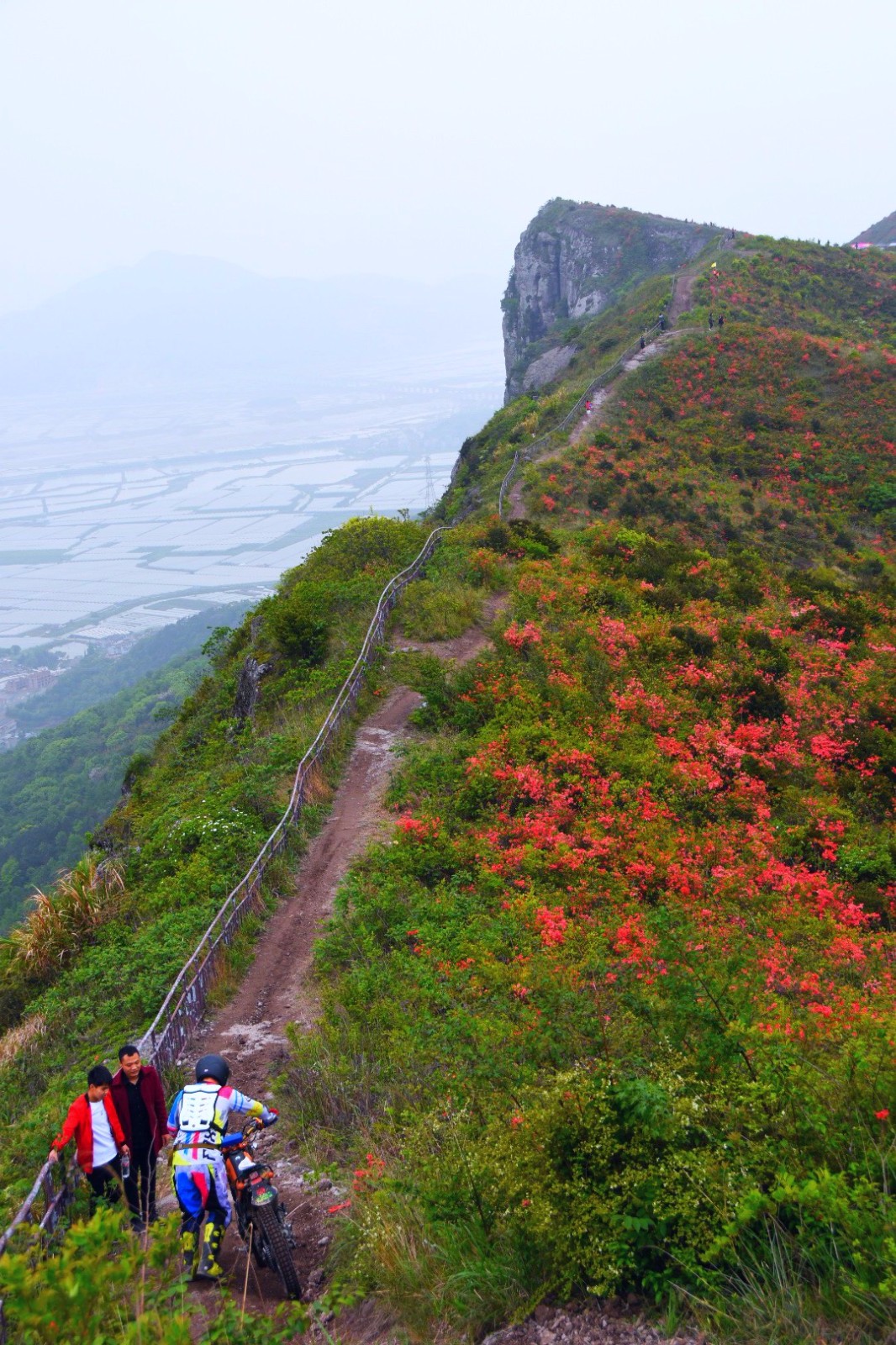 温岭上保山杜鹃花节满山杜鹃为越野赛车手盛开34图