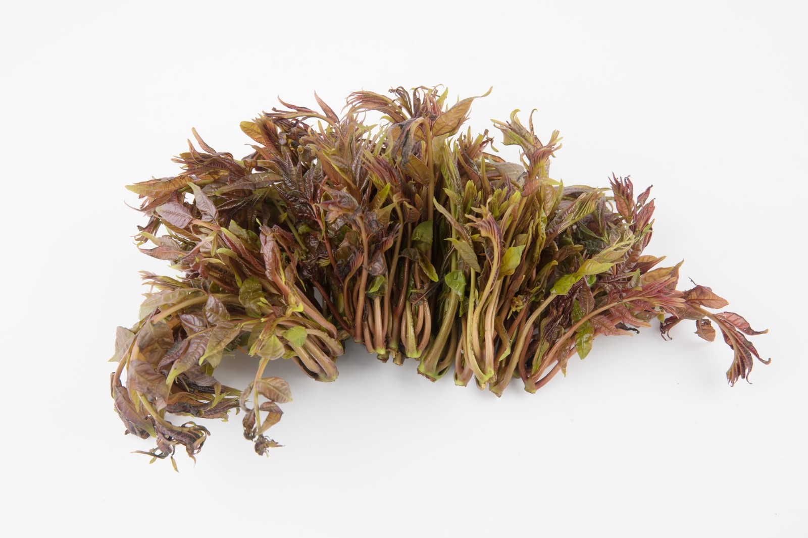 香椿是春天的"黄金菜"!但这3类人最好别吃!看看有没有你