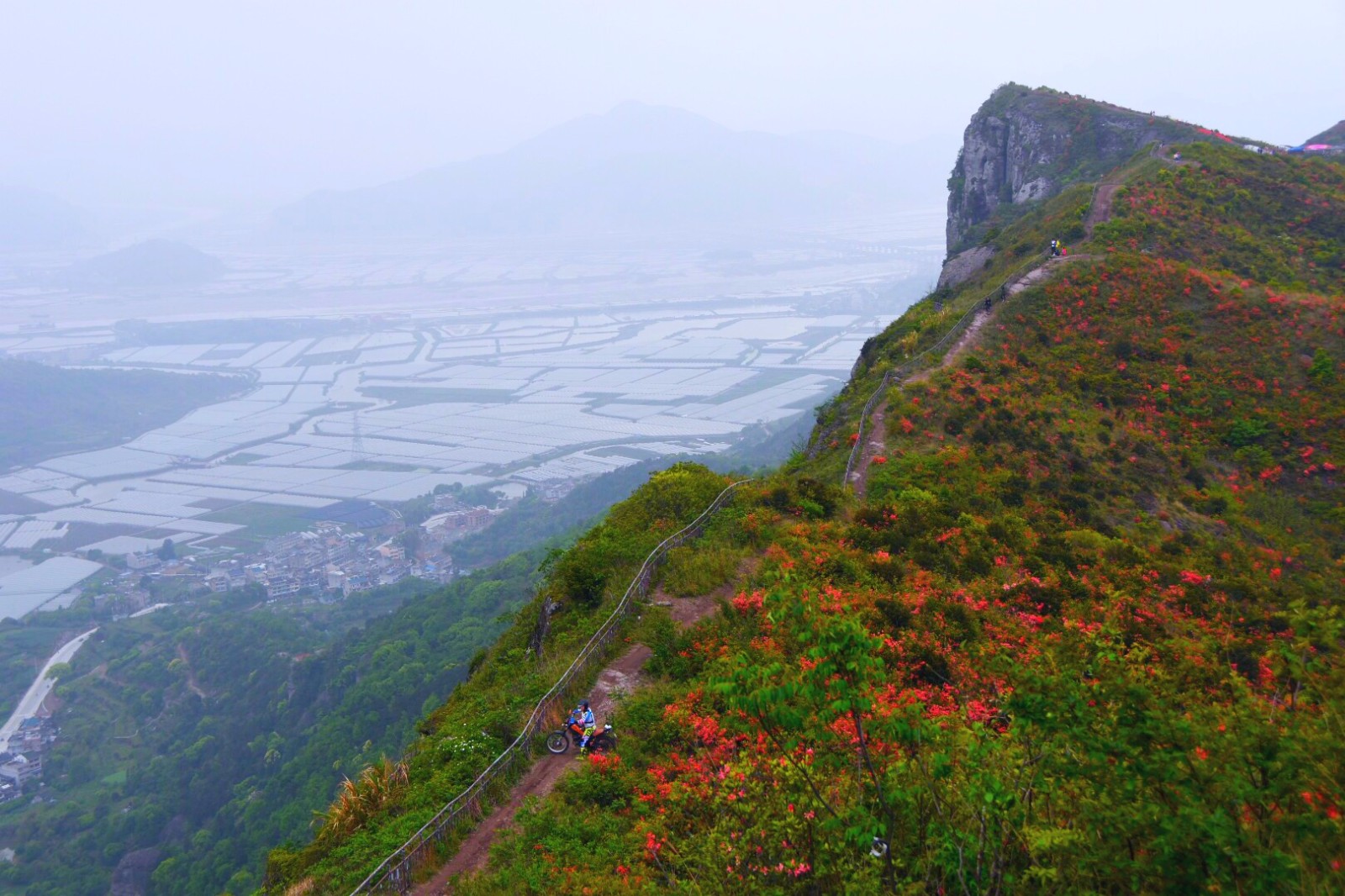 温岭上保山杜鹃花节满山杜鹃为越野赛车手盛开34图