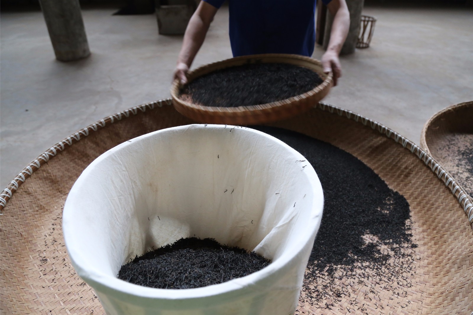 筛茶师从业40载日制茶500斤最贵售万元1斤