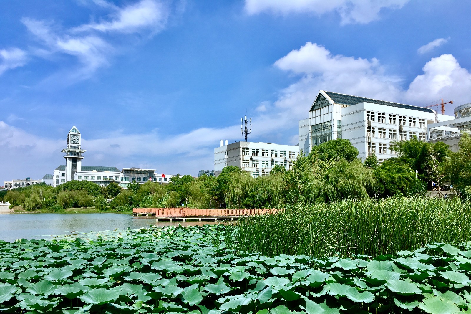 武汉财经大学,武汉财经大学是211还是985